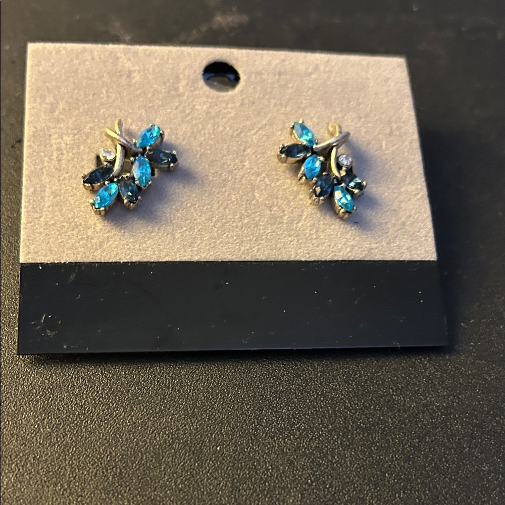 Chic Silver and Blue Gemstone Earrings